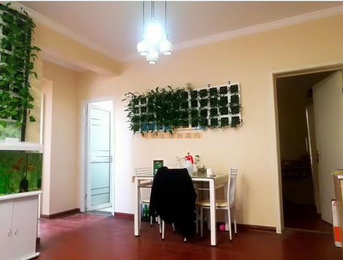 河南智能綠植項目加盟推薦 河南潤庭裝飾工程