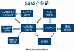 破壞者釘釘背后 SaaS玩家一片唏噓，社會經濟咨詢服務或成新逃生路